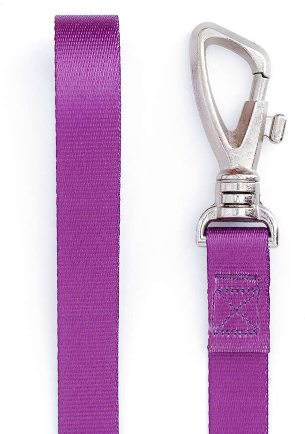 Guia Meau Duo Roxo Azul - Tam. P