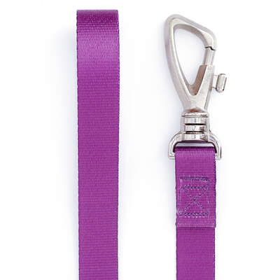 Guia Meau Duo Roxo Azul”
