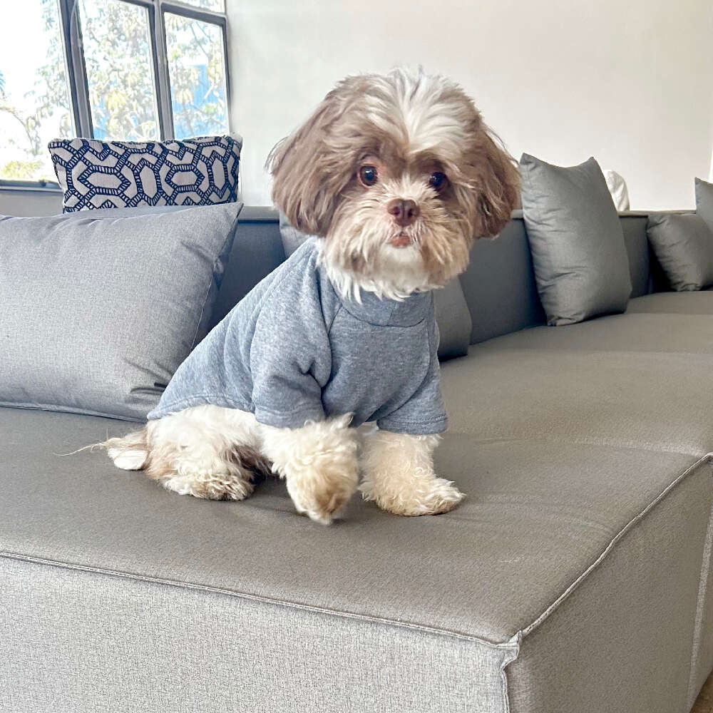 Blusa Moletom com Manga Fábrica Pet Cinza - Tam. G