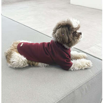 Blusa Moletom com Manga Fábrica Pet Vinho”
