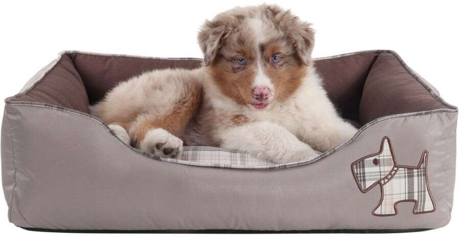 Cama Pickorruchos Puppy Choco - Tam. GG