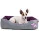Cama Pickorruchos Puppy Violeta