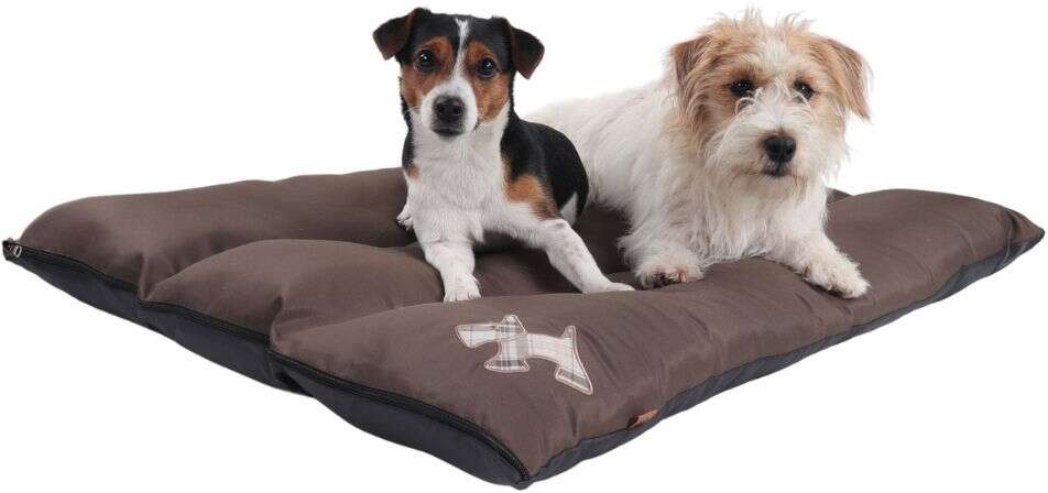 Colchonete Pickorruchos Puppy Choco - Tam. P