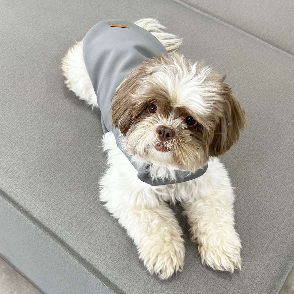 Capa Alfaiataria Fábrica Pet Lisa Cinza - Tam. GG