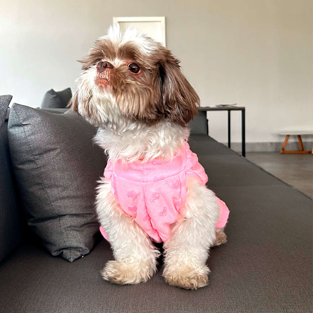 Vestido Fábrica Pet Coração Rosa - Tam. GG