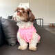 “Vestido Fábrica Pet Coração Rosa”