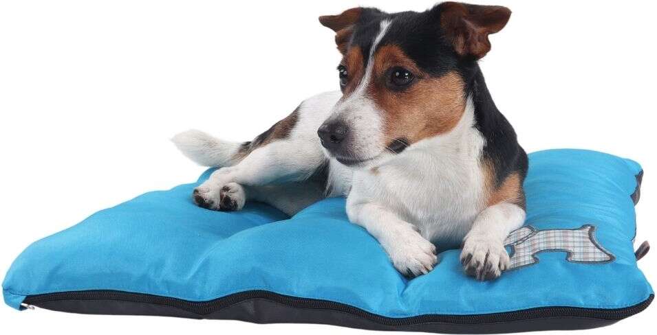 Colchodog Pickorruchos Puppy Azul - Tam. G
