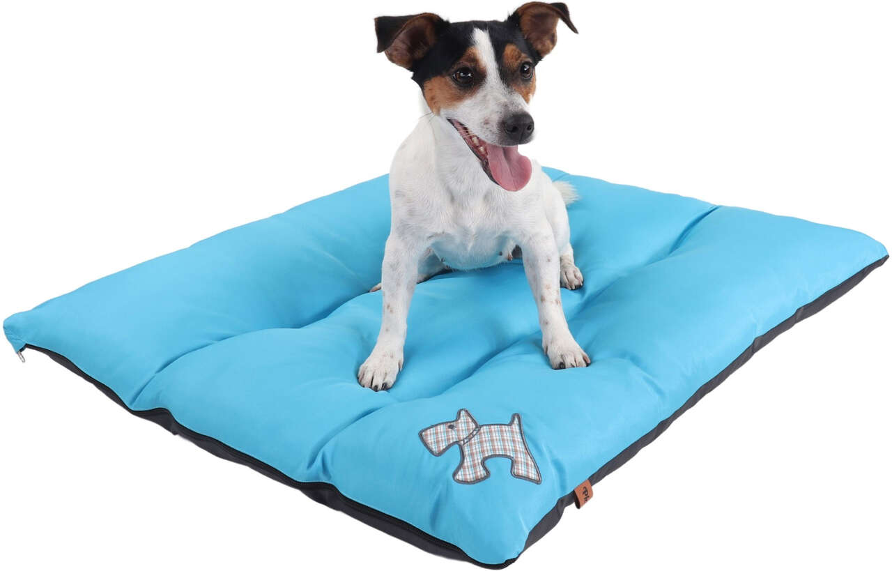 Colchodog Pickorruchos Puppy Azul - Tam. G