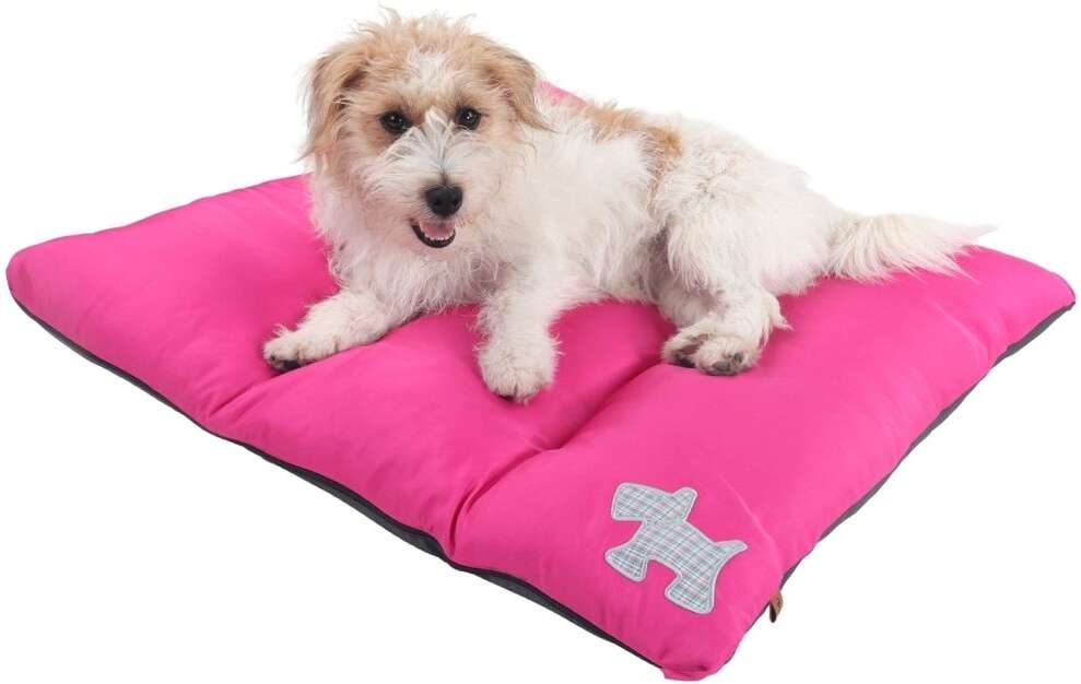 Colchodog Pickorruchos Puppy Rosa - Tam. G