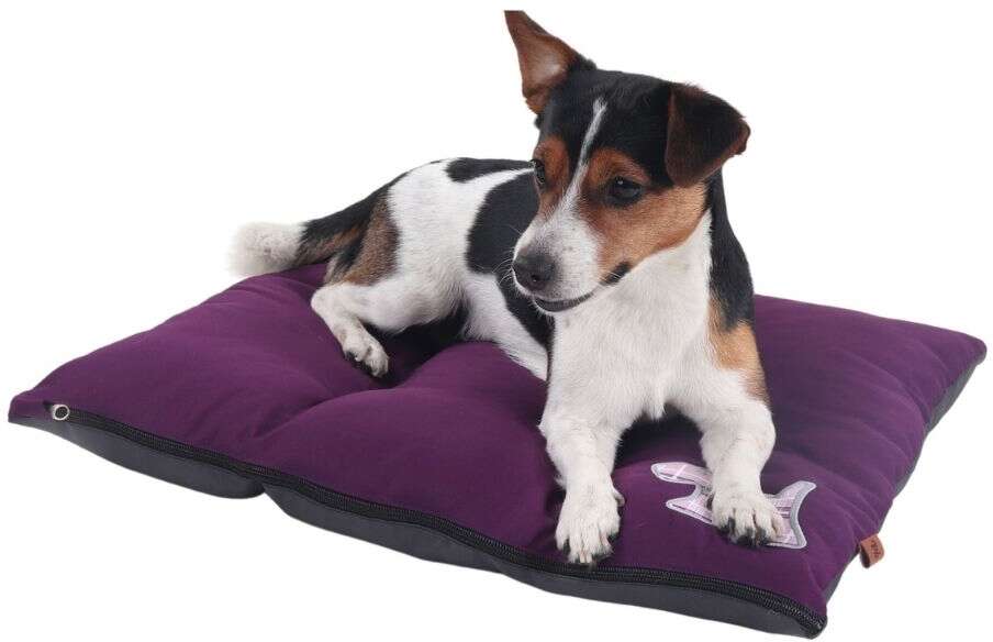 Colchodog Pickorruchos Puppy Violeta - Tam. P