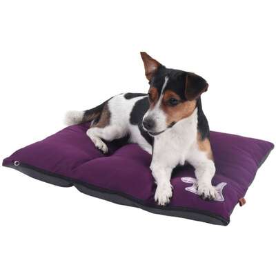Colchodog Pickorruchos Puppy Violeta