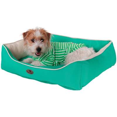 Cama Ultra Soft Pickorruchos Dupla Face Menta