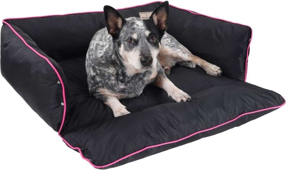 Cama Pickorruchos Pratic Nylon Impermeável Preto e Rosa - Tam. GG