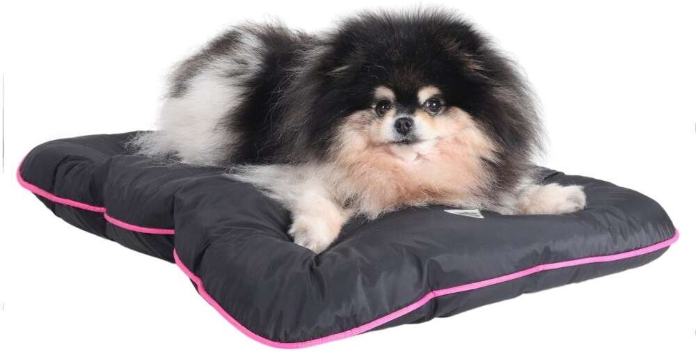 Colchonete Pickorruchos Almofadog Impermeável Preto e Rosa - Tam. M