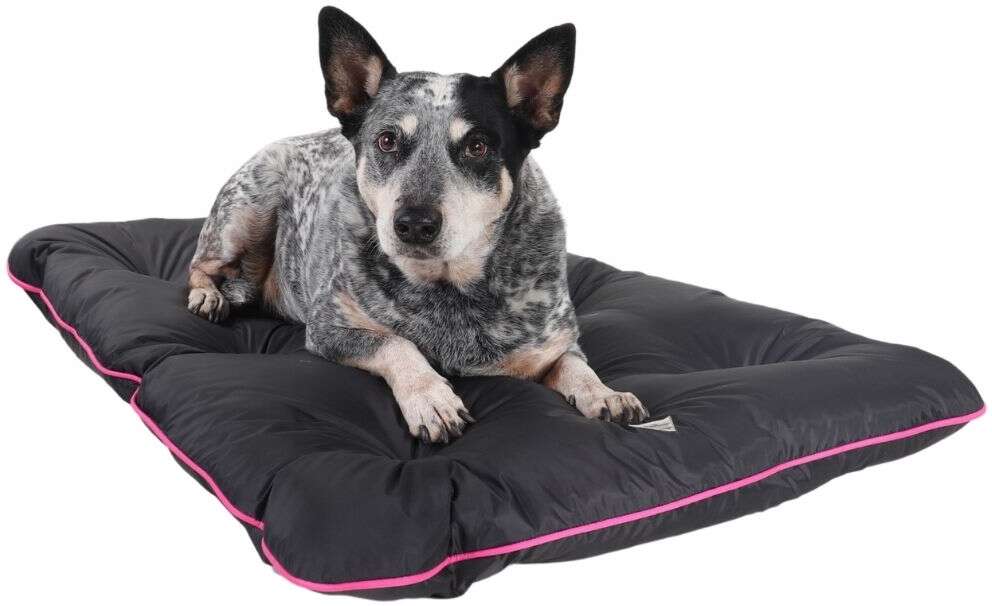 Colchonete Pickorruchos Almofadog Impermeável Preto e Rosa - Tam. M