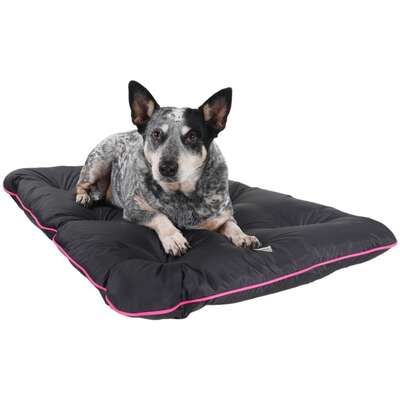 Colchonete Pickorruchos Almofadog Impermeável Preto e Rosa”