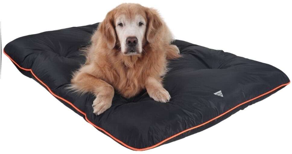Colchonete Pickorruchos Almofadog Impermeável Preto e Laranja - Tam. EXG