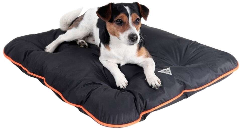 Colchonete Pickorruchos Almofadog Impermeável Preto e Laranja - Tam. EXG