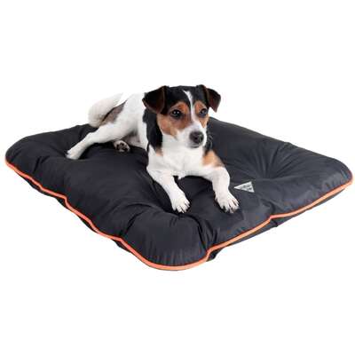 Colchonete Pickorruchos Almofadog Impermeável Preto e Laranja”
