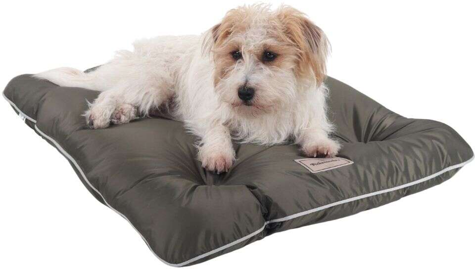 Colchonete Pickorruchos Almofadog Impermeável Militar - Tam. M
