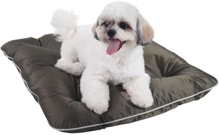 Colchonete Pickorruchos Almofadog Impermeável Militar - Tam. M