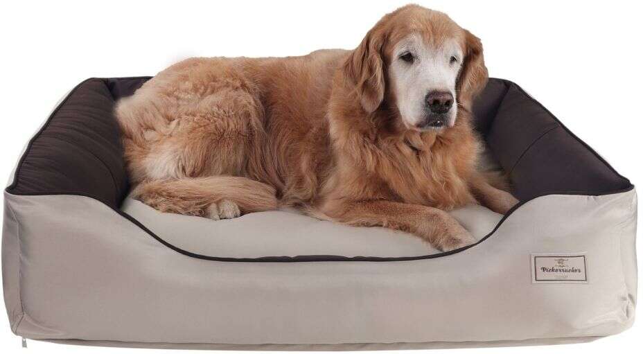 Cama Pickorruchos King Gigante Choco - Tam. Único