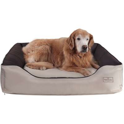 Cama Pickorruchos King Gigante Choco