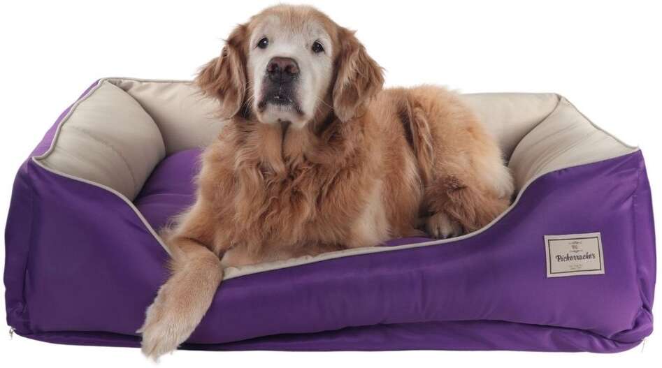 Cama Pickorruchos King Gigante Passion - Tam. Único