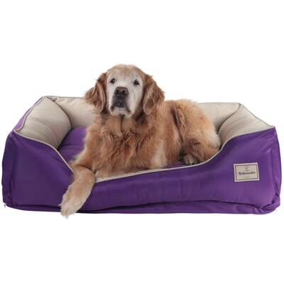 Cama Pickorruchos King Gigante Passion