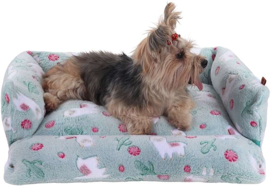 Cama Pickorruchos Aspen Dupla Face Mint - P