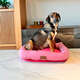 Cama Retangular Fábrica Pet Listra Pink”