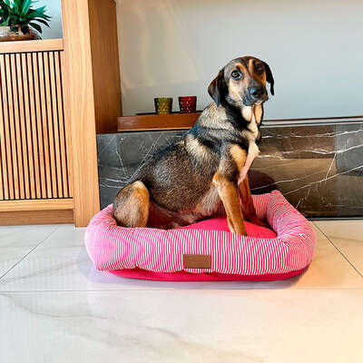 Cama Retangular Fábrica Pet Listra Pink”