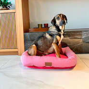 Cama Retangular Fábrica Pet Listra Pink - Tam. G