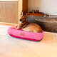 Cama Retangular Fábrica Pet Listra Pink”