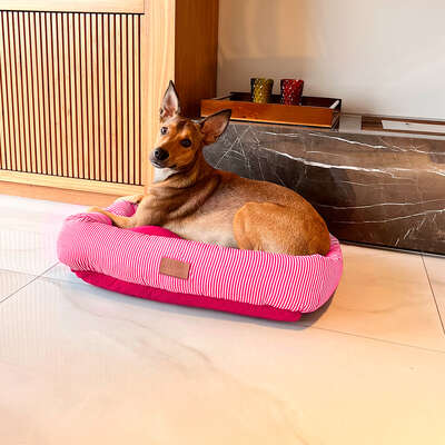 Cama Retangular Fábrica Pet Listra Pink”