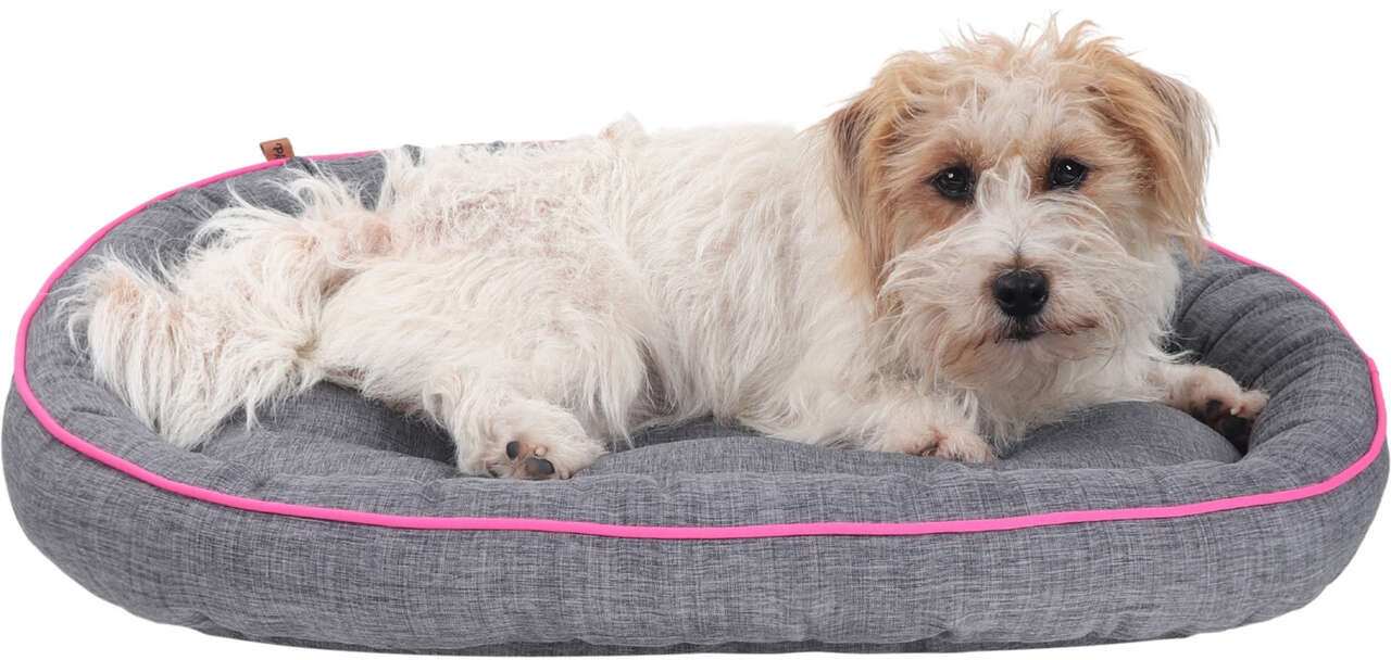 Cama Pickorruchos Essence Dupla Face Cinza e Rosa - Tam. GG