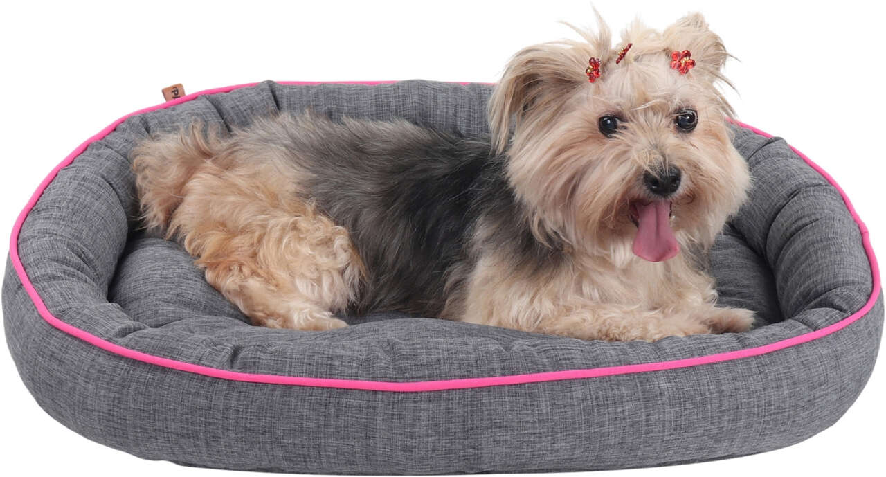 Cama Pickorruchos Essence Dupla Face Cinza e Rosa - Tam. GG