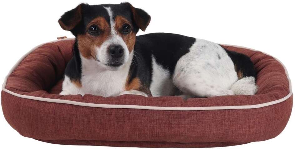 Cama Pickorruchos Essence Dupla Face Brownie - Tam. G