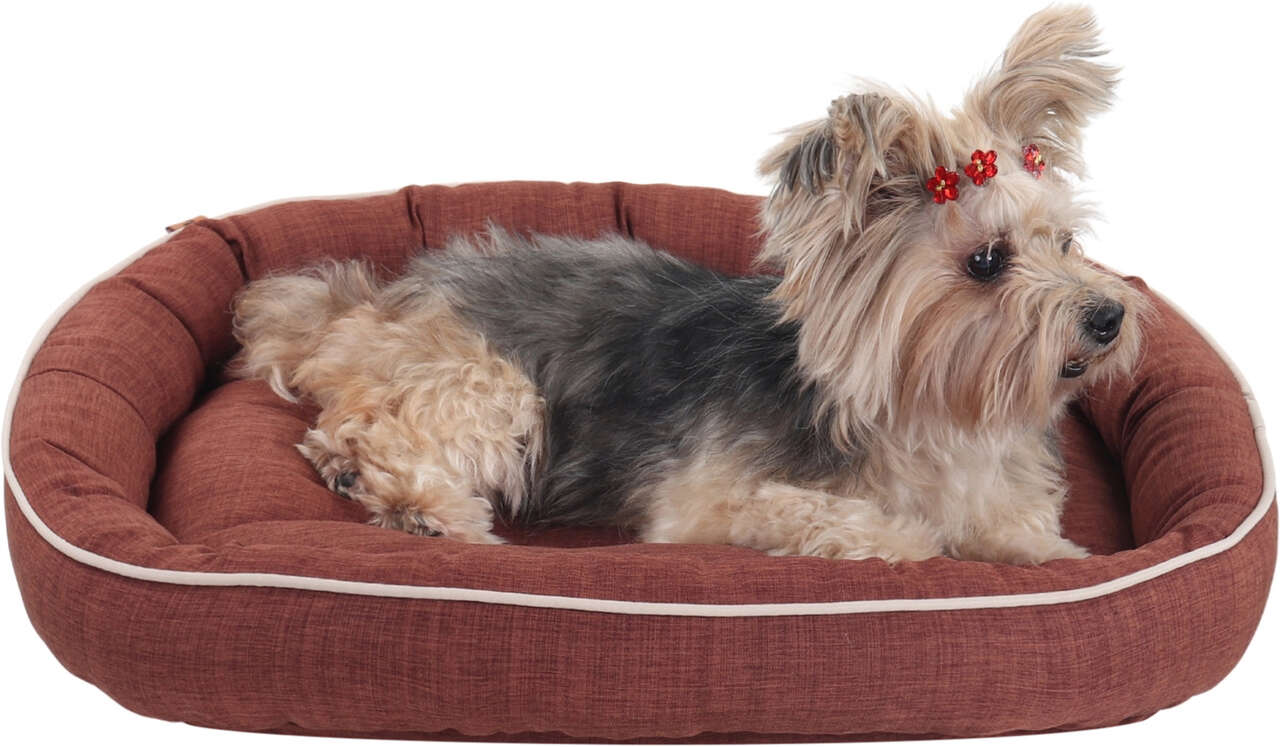 Cama Pickorruchos Essence Dupla Face Brownie - Tam. G