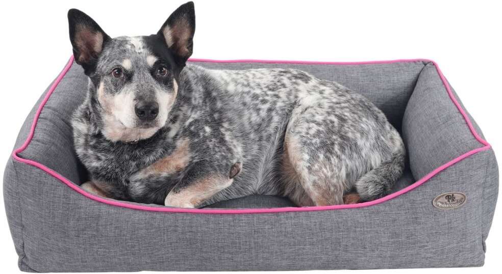 Cama Pickorruchos Sofist Cinza e Rosa - Tam. GG