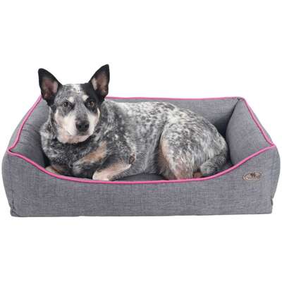Cama Pickorruchos Sofist Cinza e Rosa