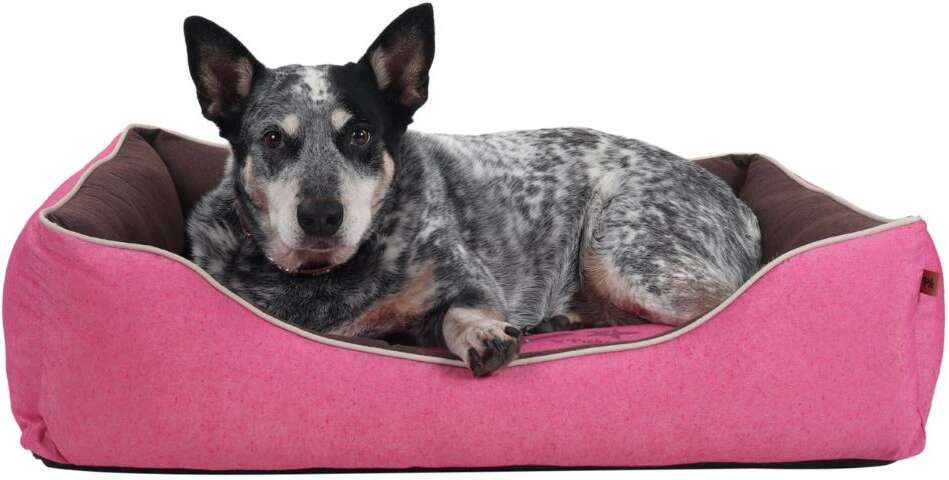 Cama Pickorruchos Retrô Reciclato Rosa - Tam. GG