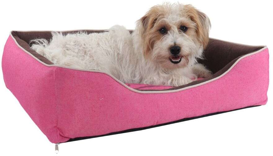 Cama Pickorruchos Retrô Reciclato Rosa - Tam. GG