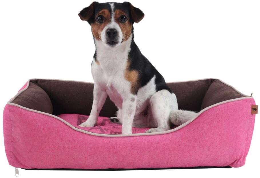 Cama Pickorruchos Retrô Reciclato Rosa - Tam. GG