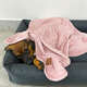 Cobertor Fábrica Pet Ultra Soft Liso Rose