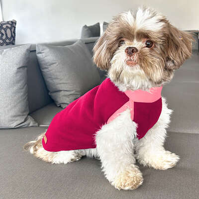 Blusa Básica Fábrica Pet Soft Lisa Rosa