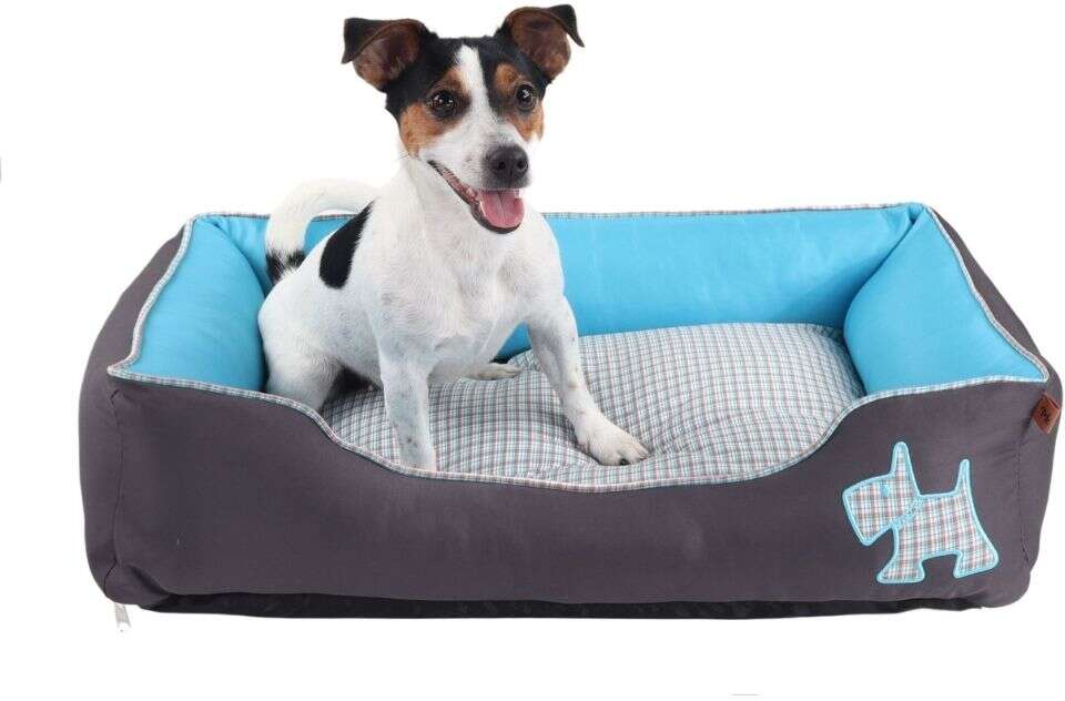 Cama Pickorruchos Puppy Azul - Tam. GG