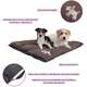 “Colchonete Pickorruchos Puppy Choco”