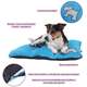 Colchodog Pickorruchos Puppy Azul