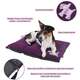 Colchodog Pickorruchos Puppy Violeta